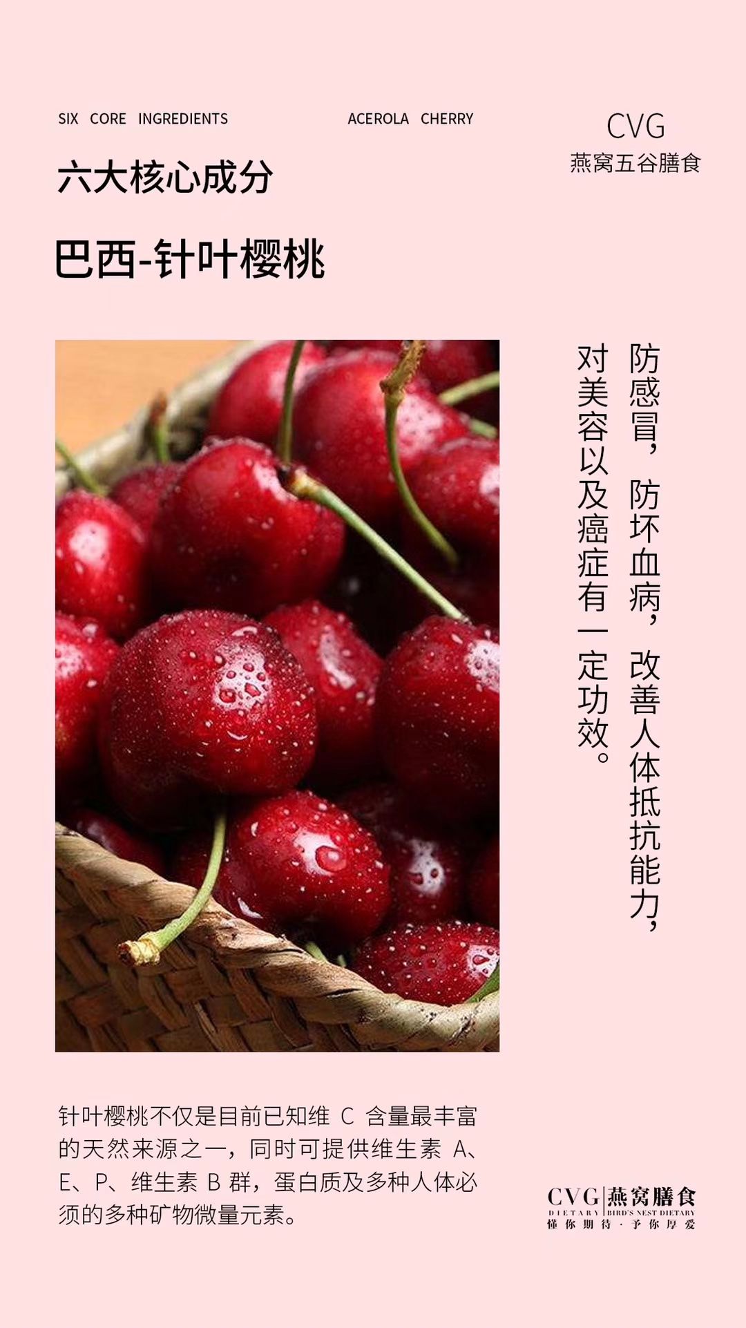 CVG益生菌燕窝五谷膳食 最安全高效的瘦身方式