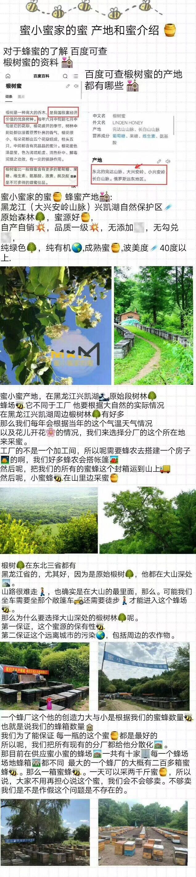 蜜小蜜蜂蜜招代理 零添加 无防腐 口味多