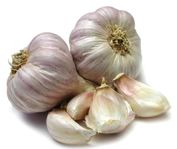 山东聊城大蒜货源 绿色食品蔬菜基地 招代理