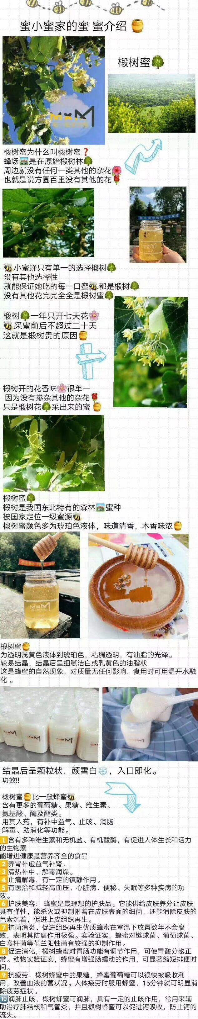 蜜小蜜蜂蜜招代理 零添加 无防腐 口味多