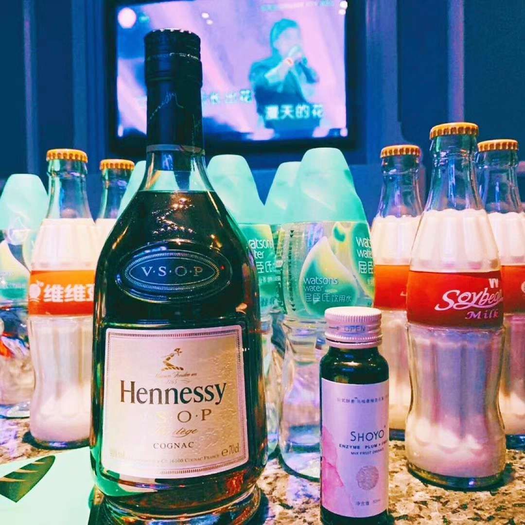 SHOYO液体酵素 健康减肥新理念