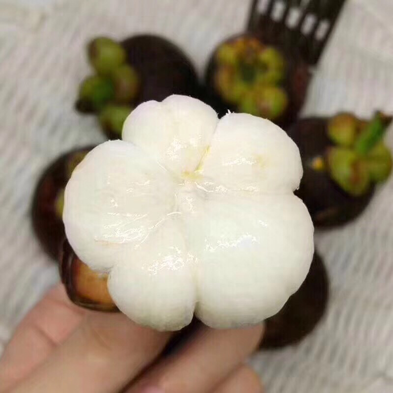 纯正海南水果 海南果园发货 确保品质