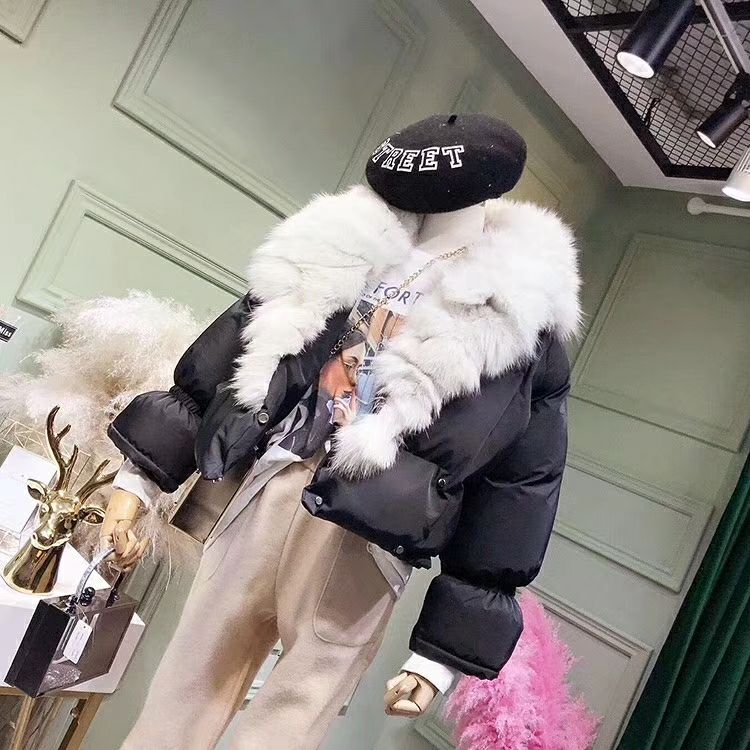 韩国东大门女装批发 一件代发  免费招代理