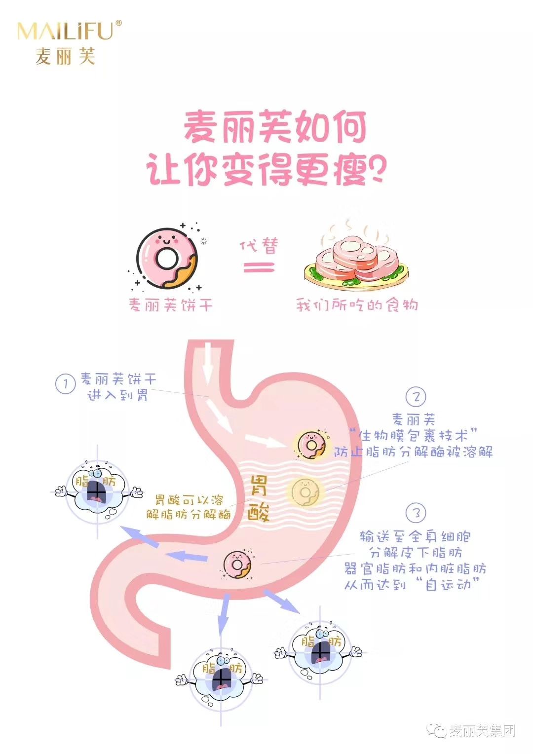麦丽芙饼干 安全健康的燃脂减脂瘦身神器