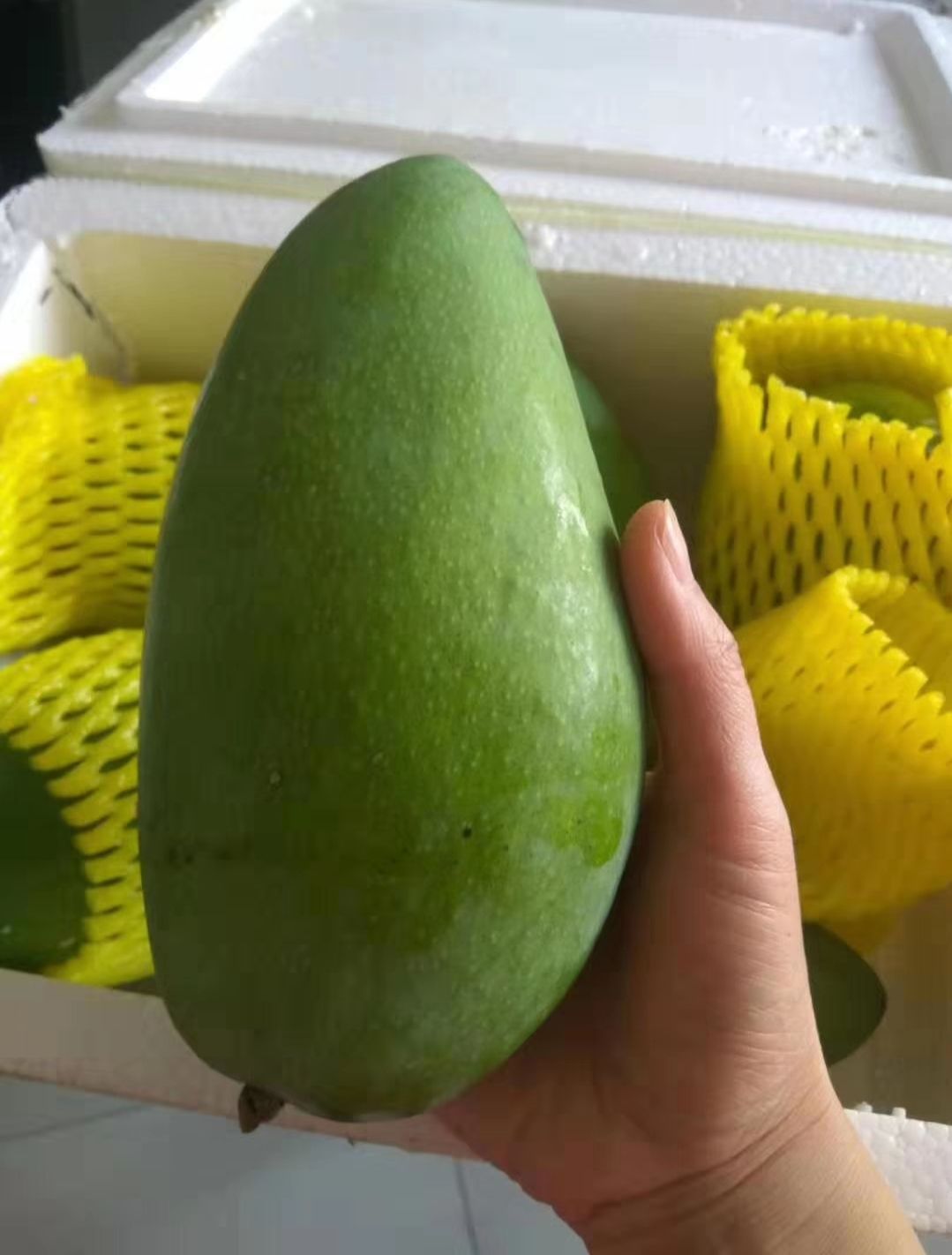 原生态水果美食招代理 无代理费 自吃省钱 卖货赚钱