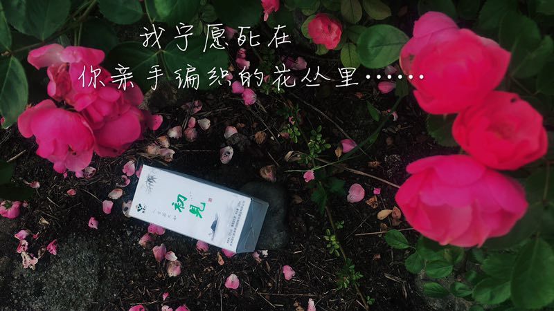 人生若只如初见