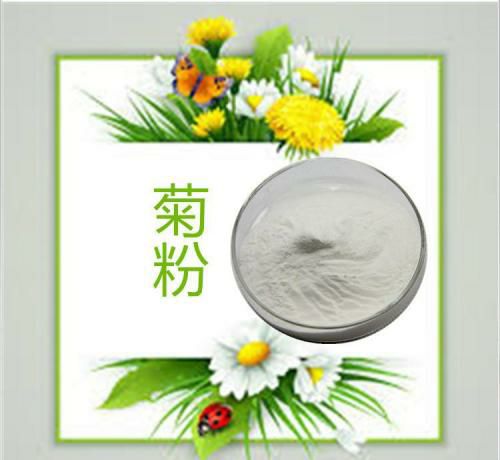 纯天然菊粉 通便美白 降三高 厂家直销