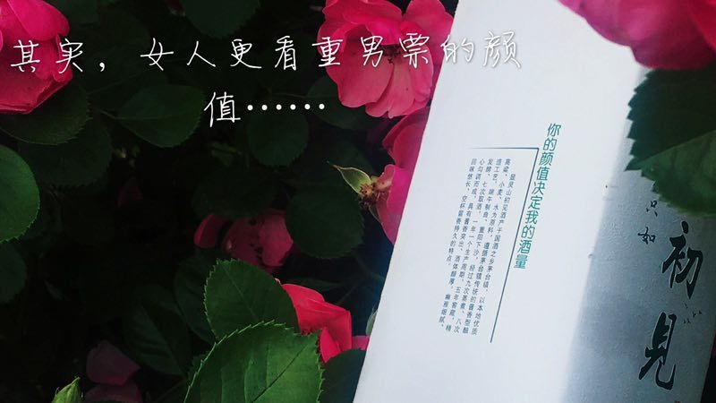 人生若只如初见