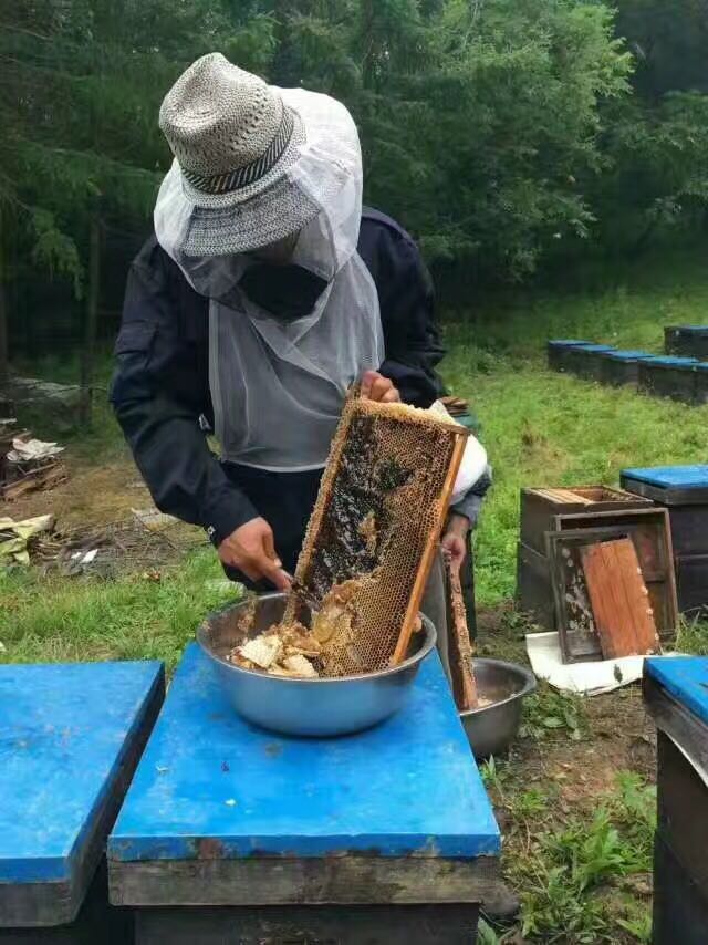 自家蜂场的土蜂蜜味道纯正 口感新鲜