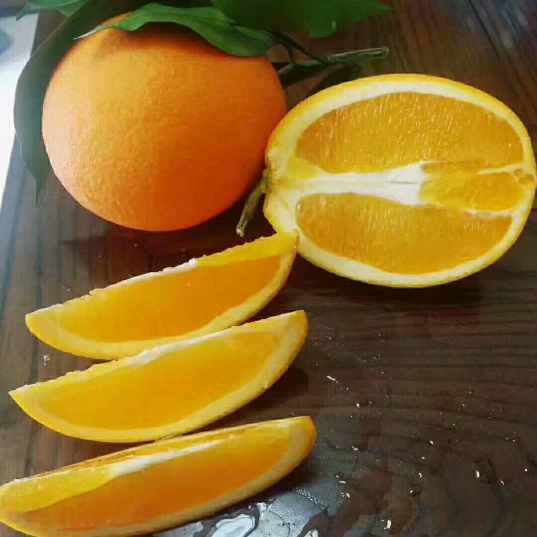 秭归挤橙来了