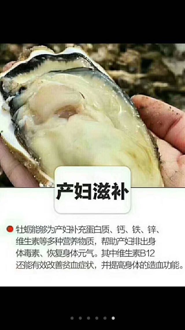 生蚝 牡蛎，养殖场一手货源批发零售