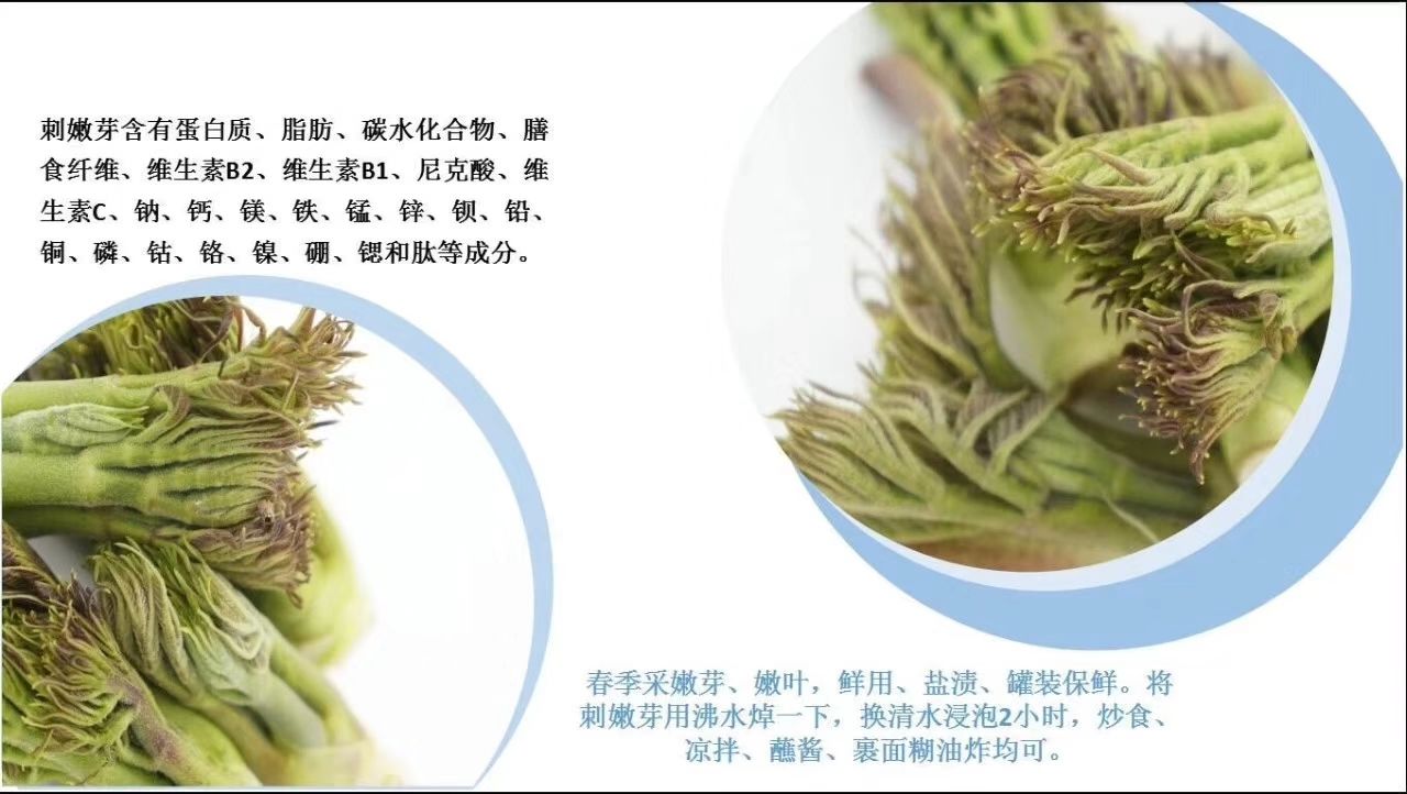 东北人参特产批发 价格实惠  诚招代理