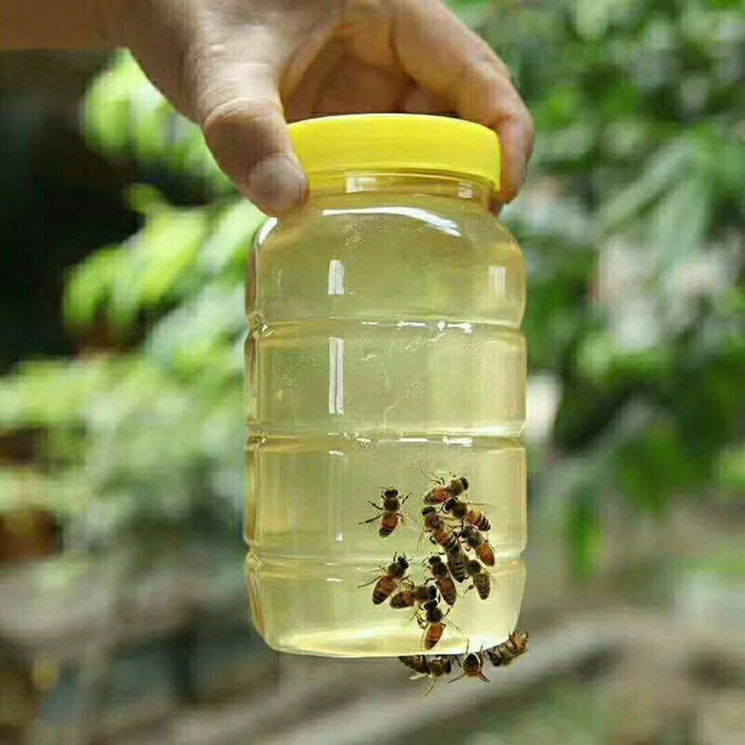 水果招代理产地现摘现发 不打药