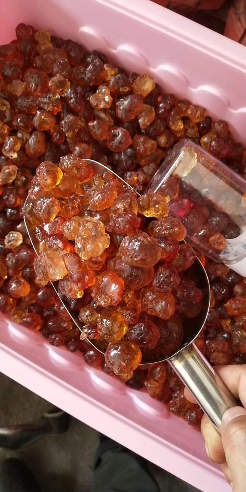 野生特级桃胶