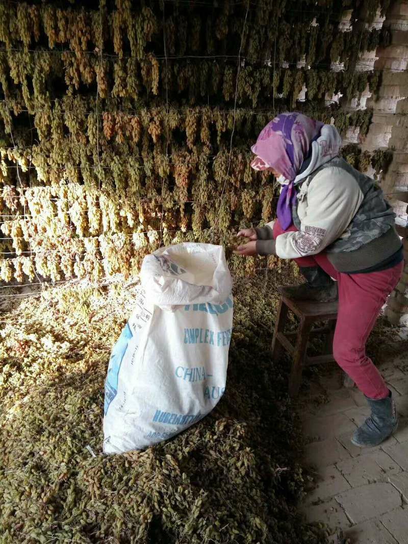 新疆特产吐鲁番葡萄干 纯天然无添加未加工