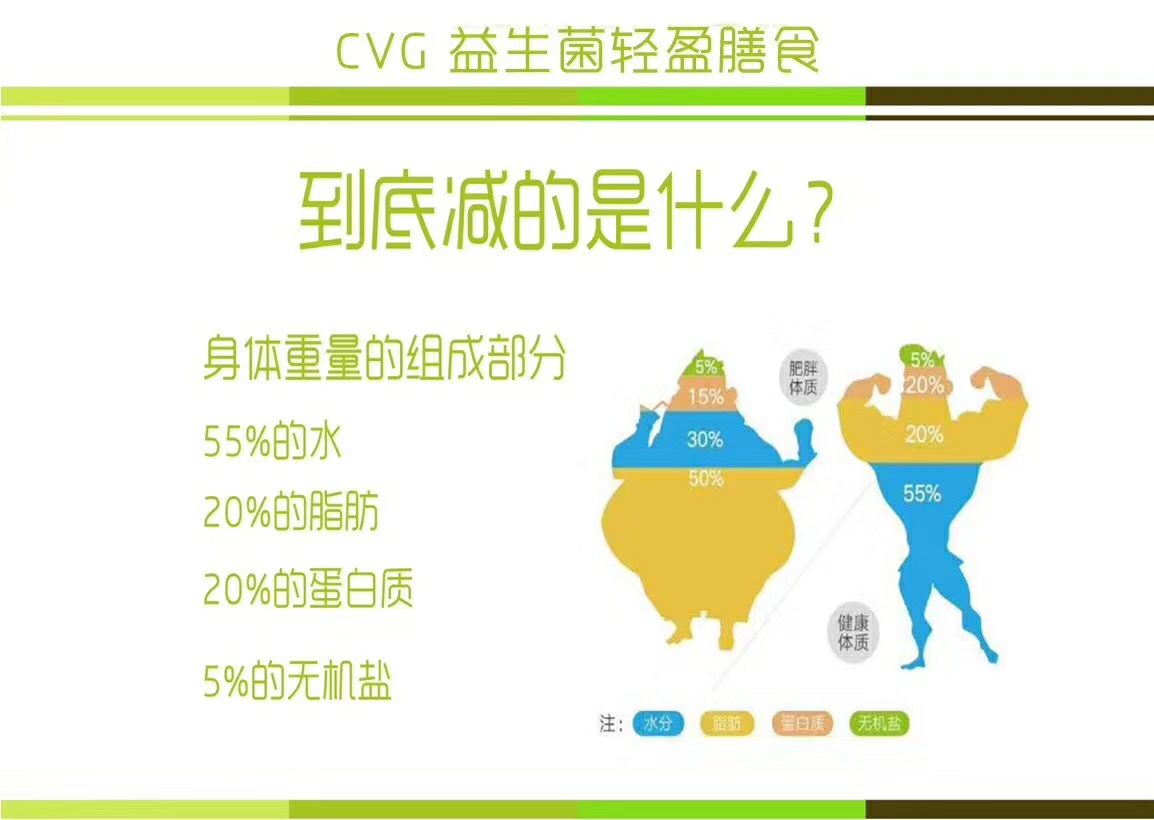 CVG益生菌燕窝膳食