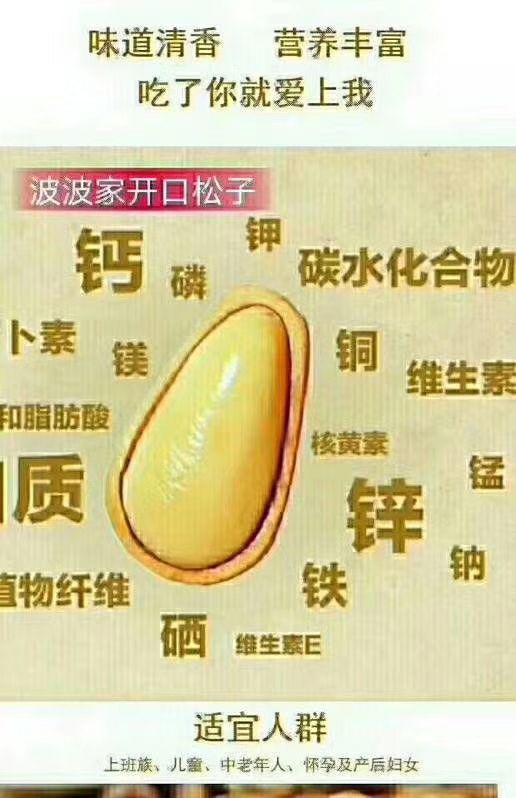 甘肃纯野生松子 好吃到爆了