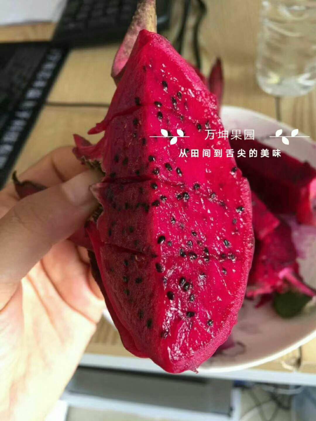 原生态果园招代理 果园直发 绿色健康