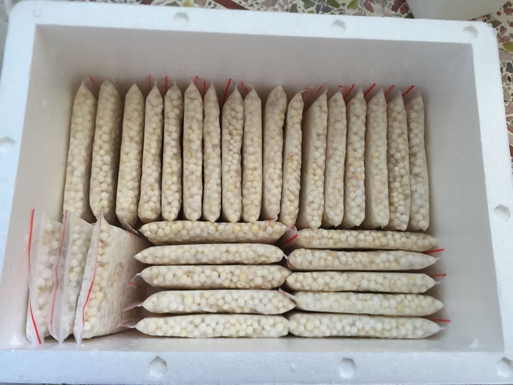 鸡头米，鲜芡实招代理，一手货源，零门槛
