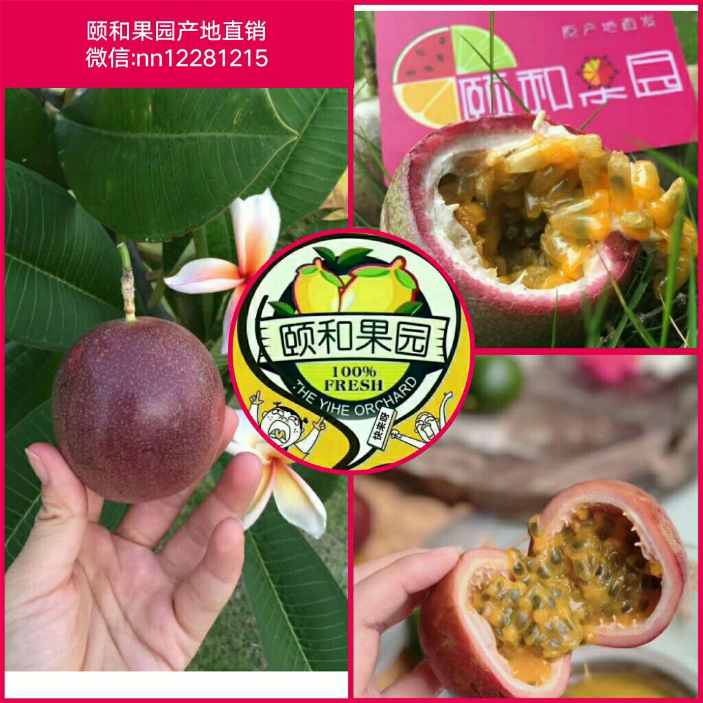 健康无添加的水果招代理 跟我一起卖水果吧