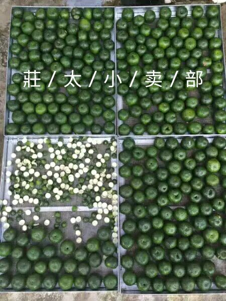 小青柑普洱茶