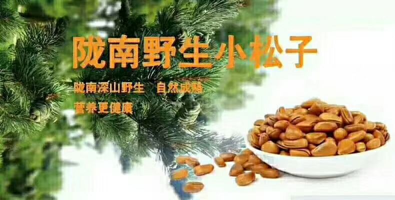 甘肃纯野生松子 好吃到爆了