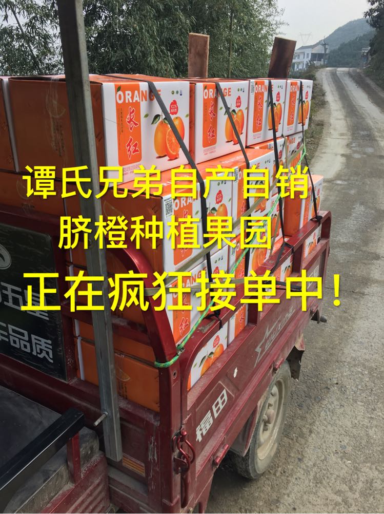 现摘现发的原生态水果 秭归脐橙 诚招全国代理