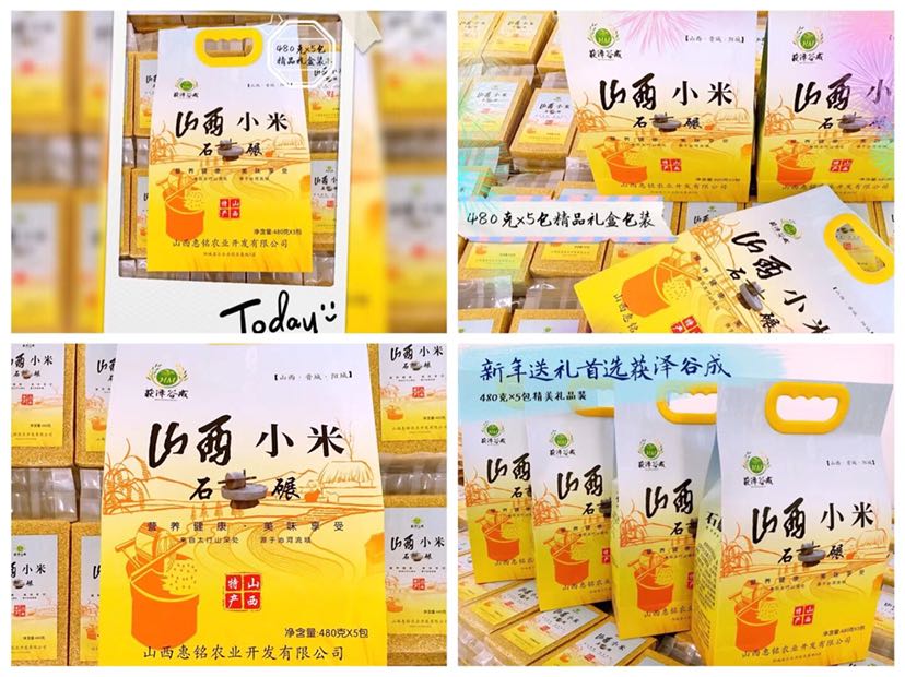 获泽谷成 山西小米 上百次弯腰只为一粒好米