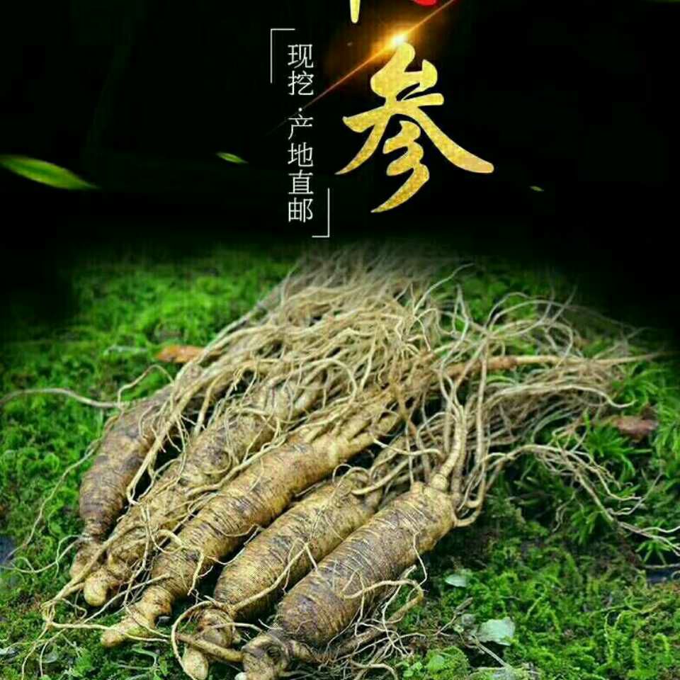 长白山鲜人参招代理  一件代发  无需囤货  利润高