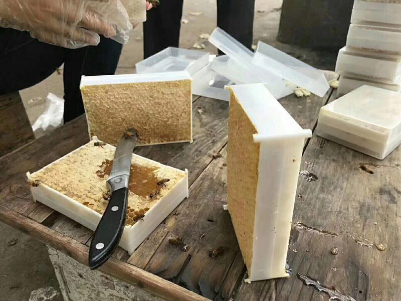 长白山脉天然农家巢蜜蜂蜜 自己蜂场一手货源 诚招代理