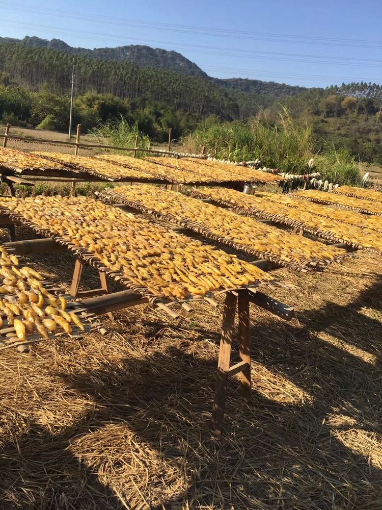农村自晒番薯干，大量现货，可批发，可零售