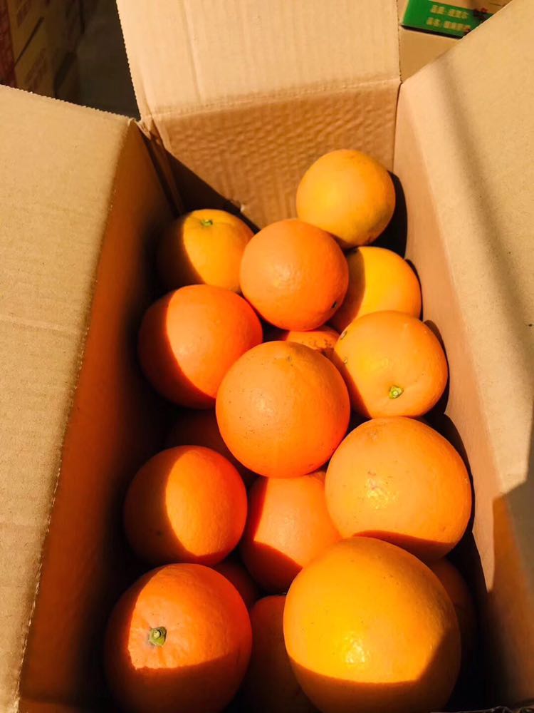 赣南脐橙新鲜现货