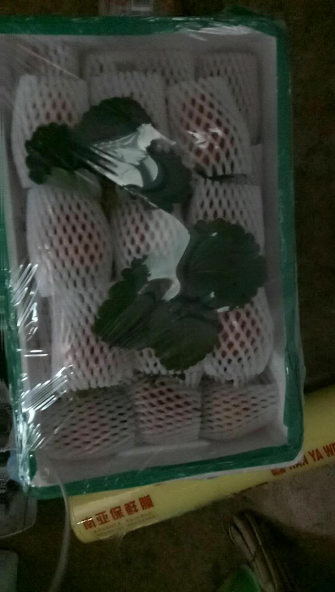 庄河步云山辛香草莓