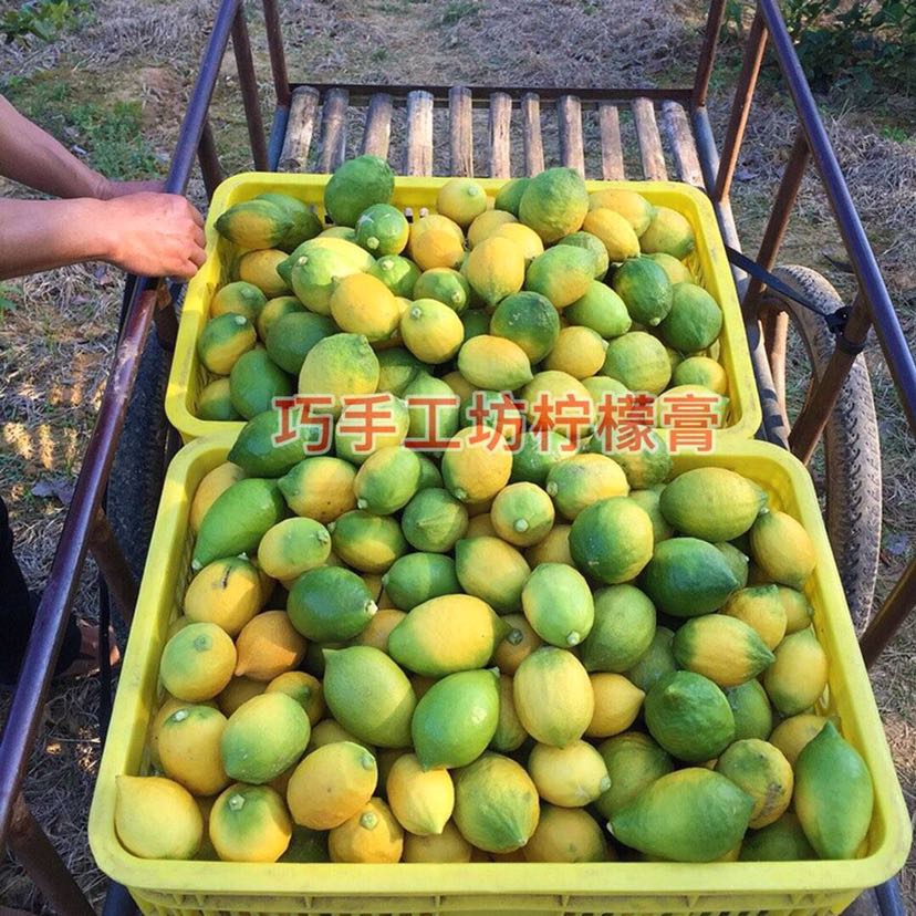 君君巧手工坊柠檬膏招代理拉！