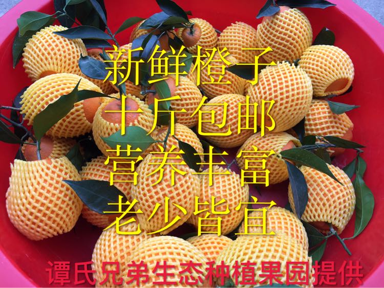 现摘现发的原生态水果 秭归脐橙 诚招全国代理