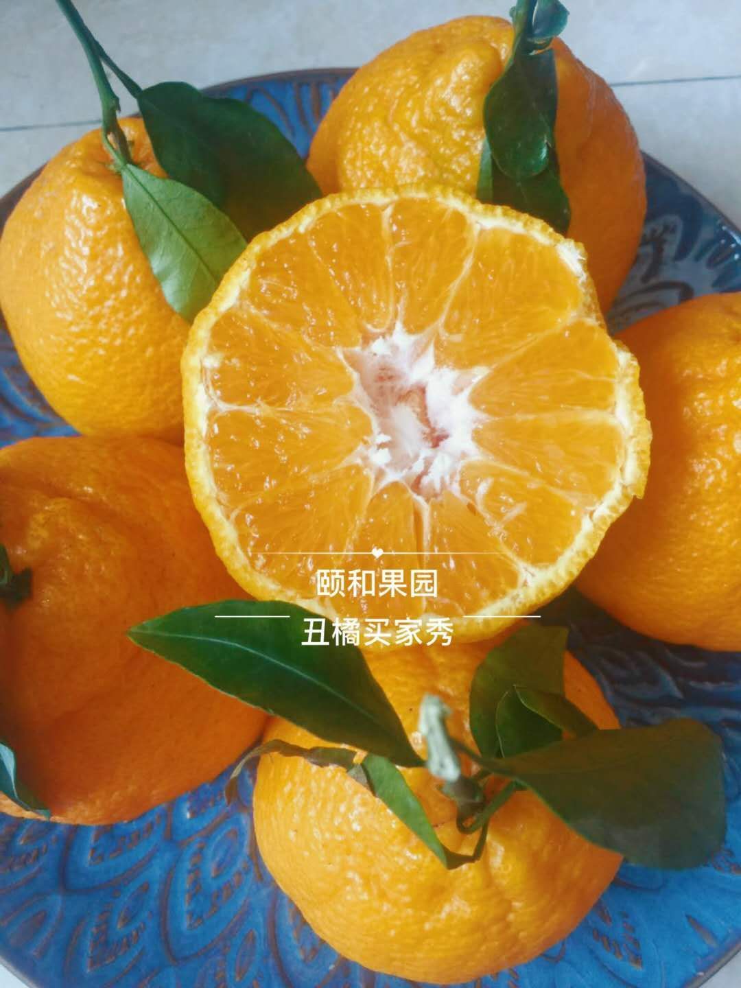 颐和果园 水果产地直发 不囤货 只卖应季水果
