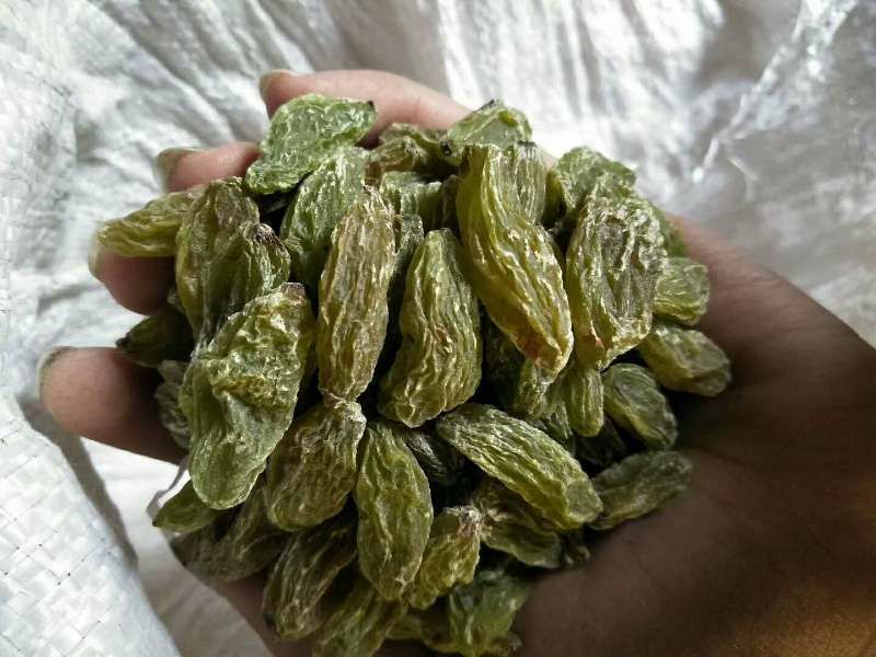 新疆特产吐鲁番葡萄干 纯天然无添加未加工