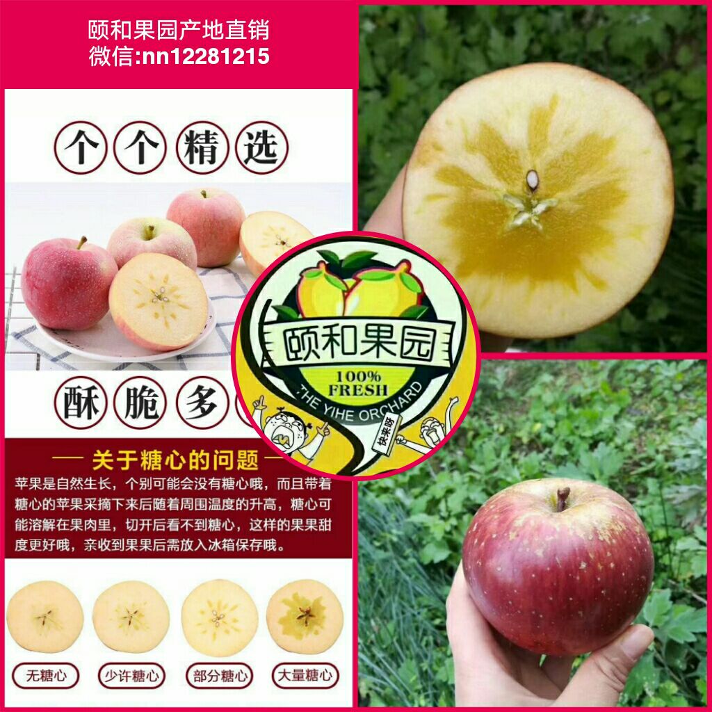健康无添加的水果招代理 跟我一起卖水果吧