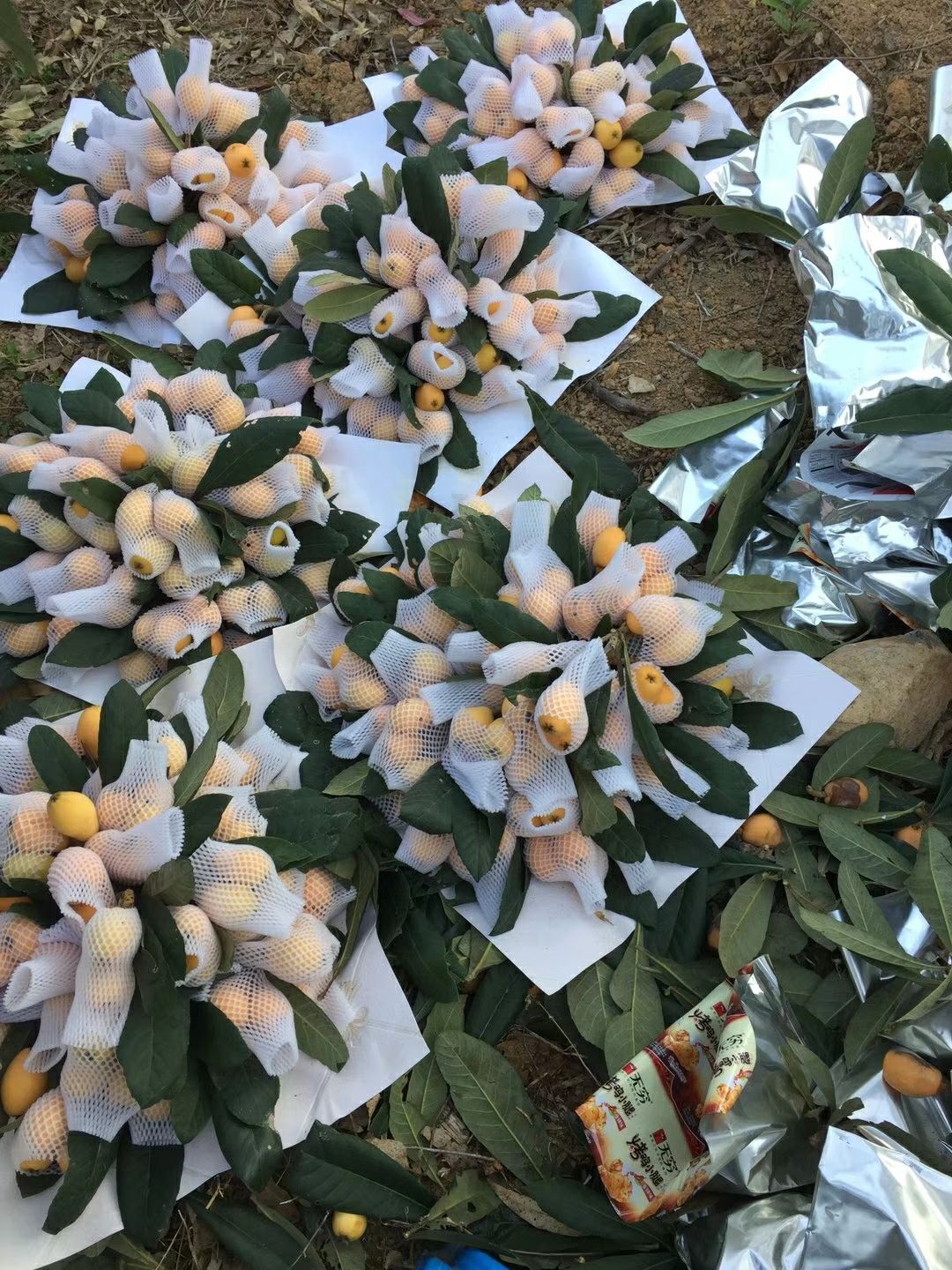 枇杷膏批发与零售