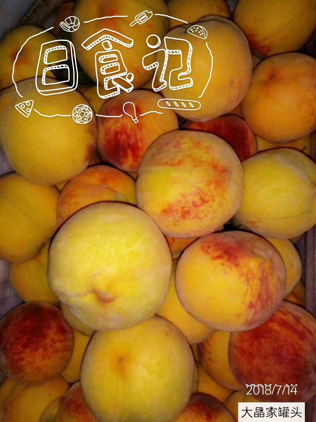 砀山特产纯手工黄桃罐头 一件代发 无需代理费