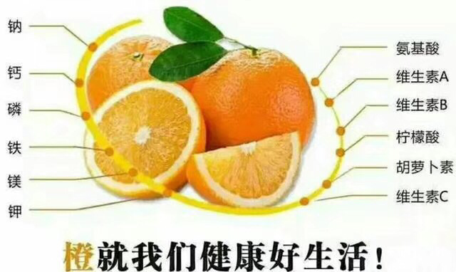 大凉山雷波脐橙，只为你而来。今年错过，只有等明年咯