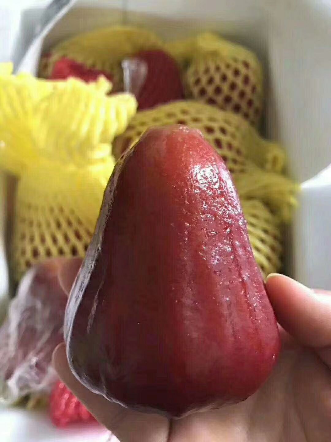 精品水果（招代理）果园现摘现发 非常新鲜