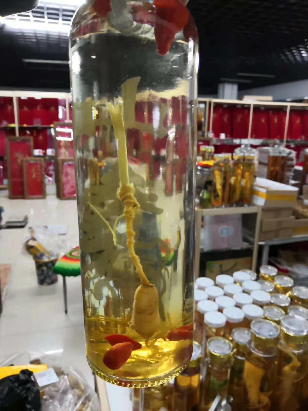 东北人参特产批发 价格实惠  诚招代理