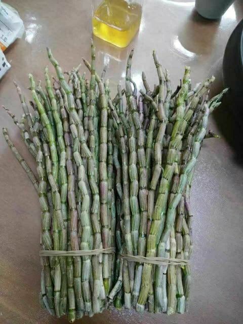 铁皮石斛，有实体店，方便随时发货打包直发，没有中间商