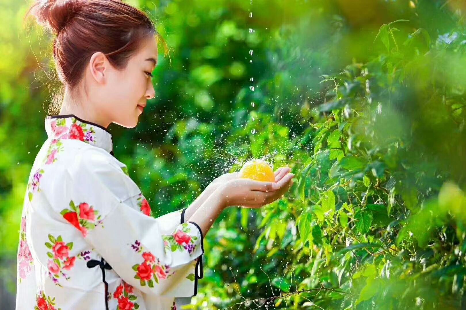 正宗炎陵高山黄桃
