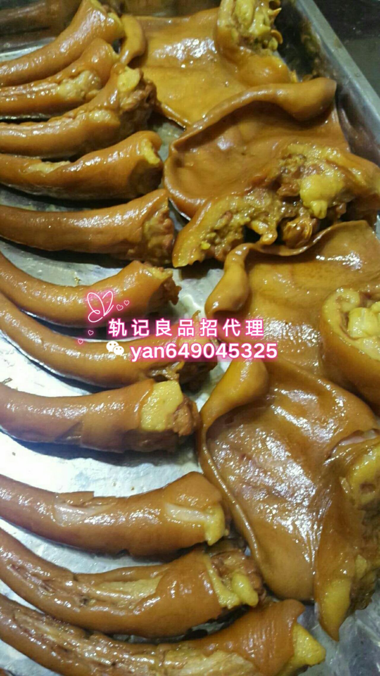 招代理 0囤货0风险一件代发，现在加入还有肉肉大礼包