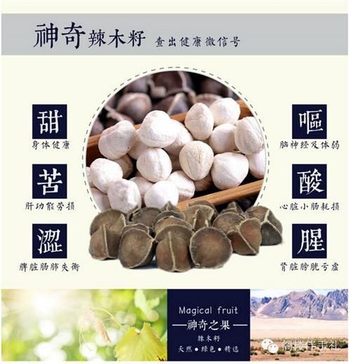 印度辣木籽，诚招代理，欢迎加入