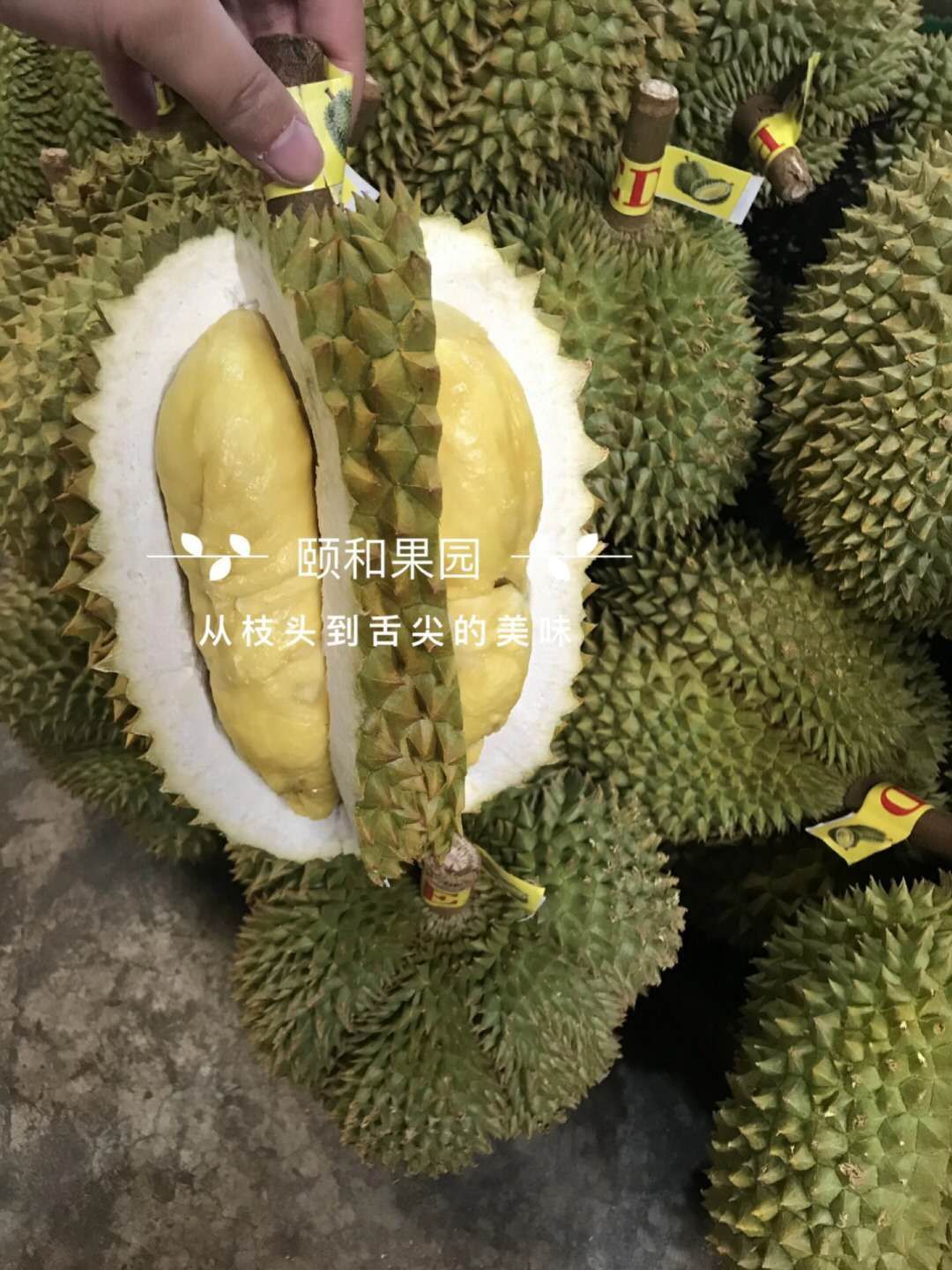 颐和果园 水果产地直发 不囤货 只卖应季水果