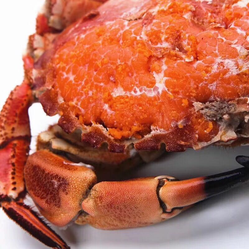 连云港海鲜 自己家鱼船扑捉上来 需要的联系我
