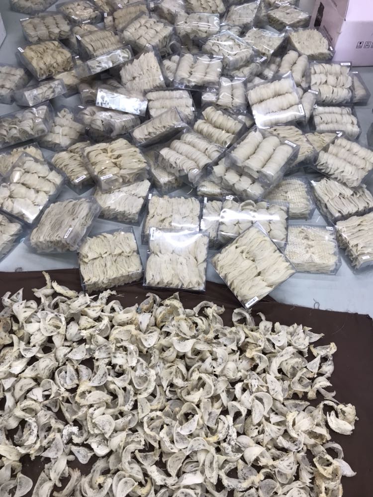 印尼纯天然燕窝工厂直销 货源稳定 品质保障